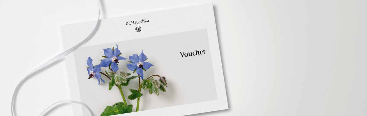 Gift Vouchers