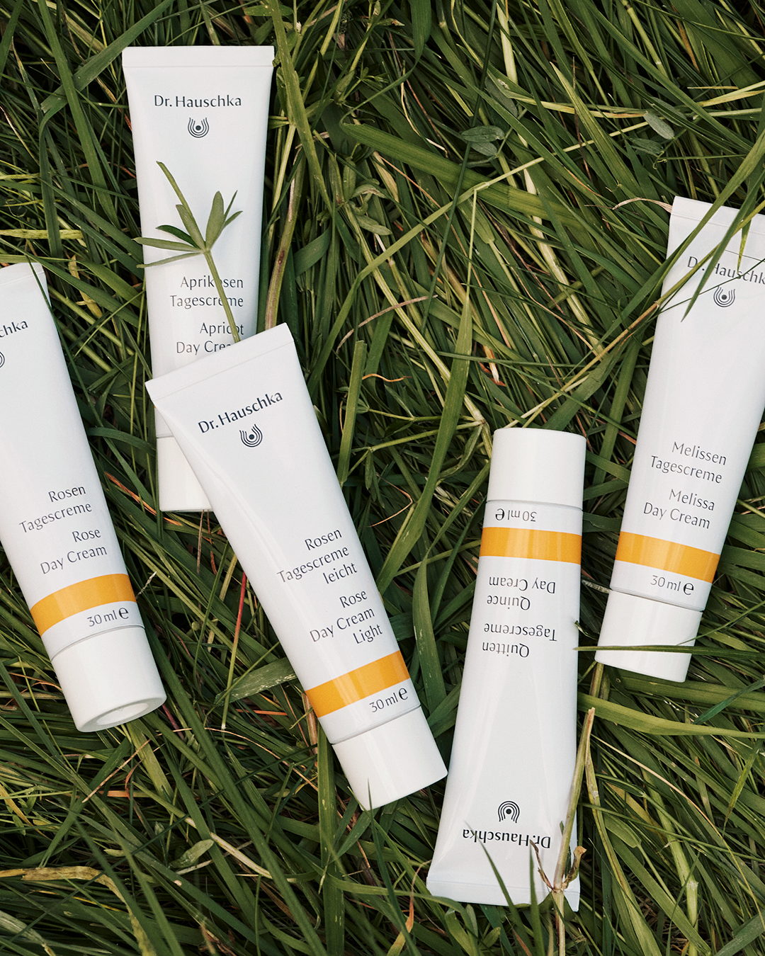 Top Seller Day Creams
