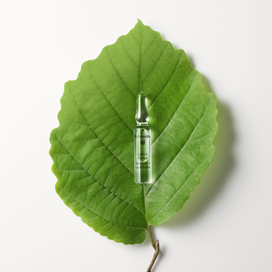 Dr. Hauschka Calm & Balance Ampoules